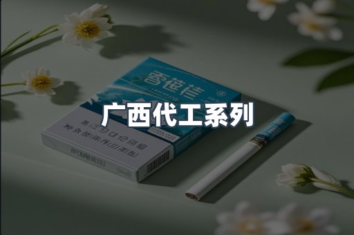 广西代工系列